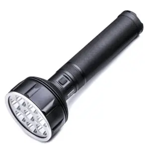Saint Torch 31