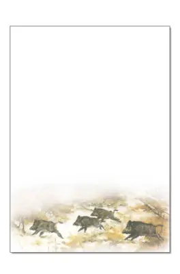 Brevpapper med vildsvin - A4