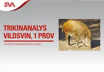 SVA trikintest för vildsvin