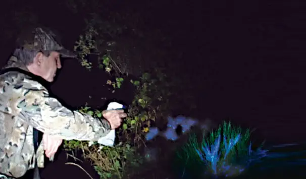 BLUESTAR® blodspårning