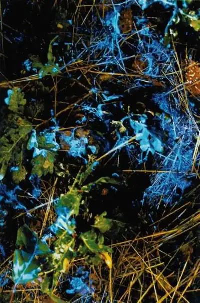 BLUESTAR® blodspårning