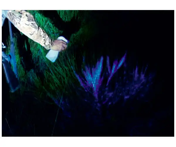 BLUESTAR® blodspårning