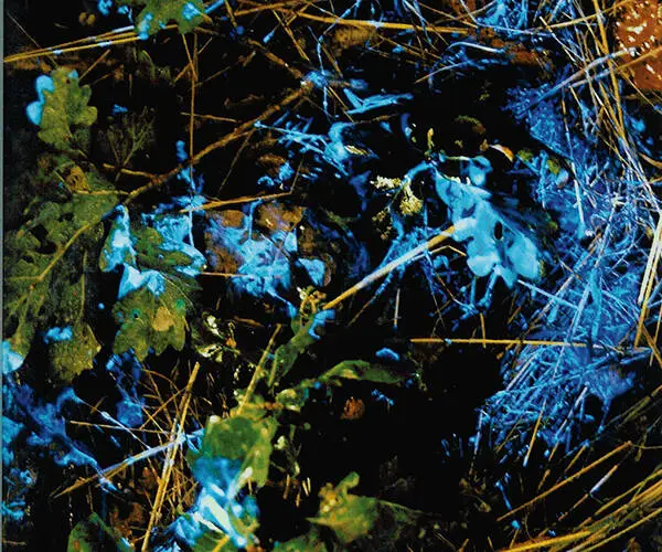 BLUESTAR® blodspårning