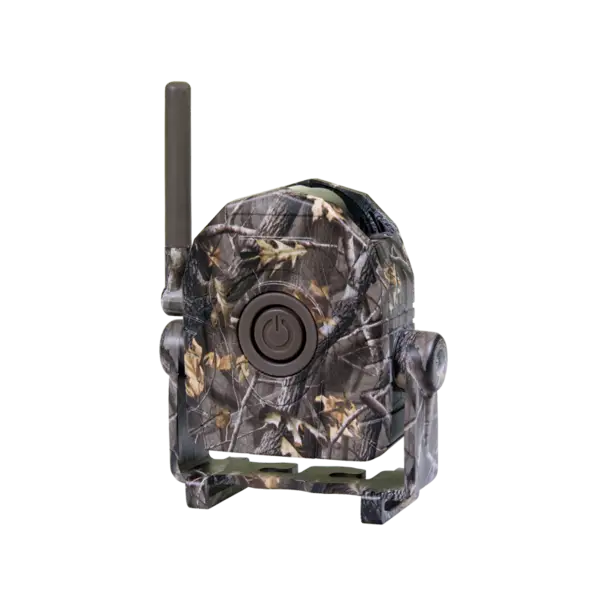 dörr Ba-300