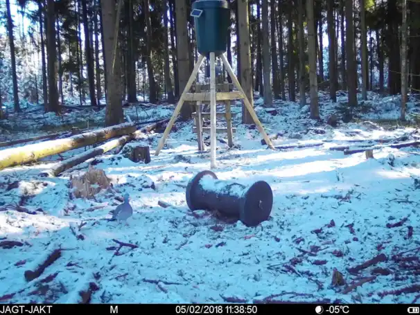 Spromise 328 - viltkamera med MMS/mail