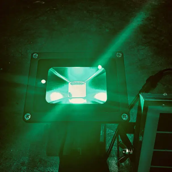 Ljus till foderplatsen inkl. solpanel, batteri och PIR-sensor (Grön)