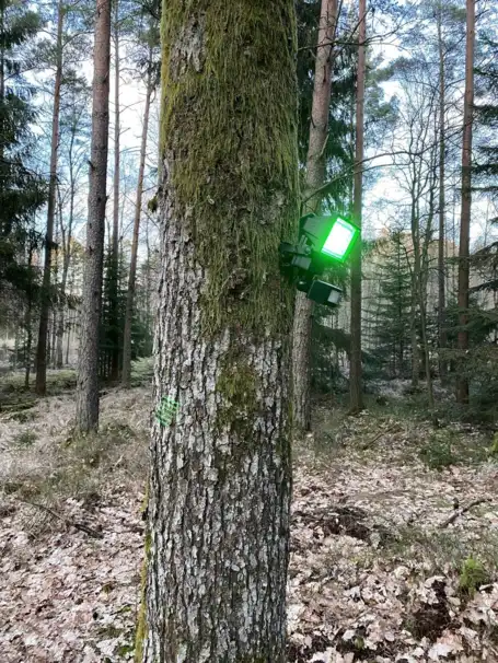 Ljus till foderplatsen inkl. solpanel, batteri och PIR-sensor (Grön)