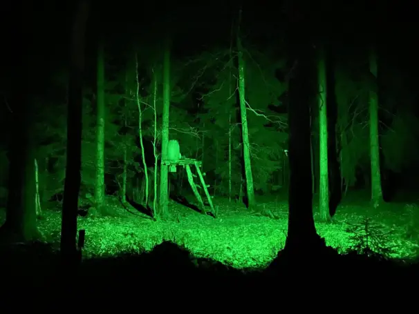 Ljus till foderplatsen inkl. solpanel, batteri och PIR-sensor (Grön)