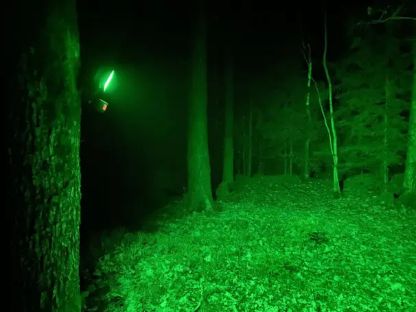 Ljus till foderplatsen inkl. solpanel, batteri och PIR-sensor (Grön)