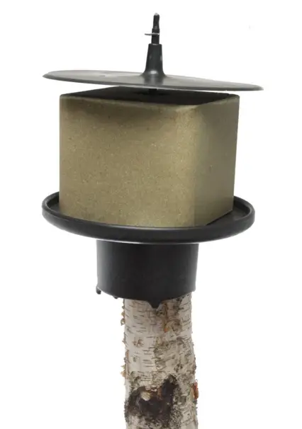 Mineralstenshållare