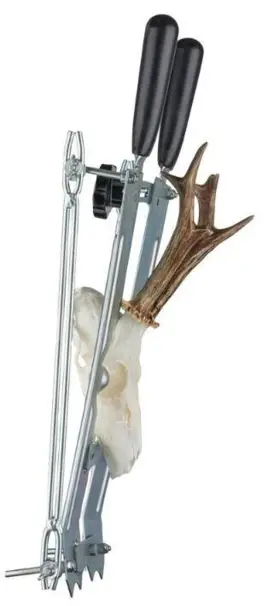 Trofésåg