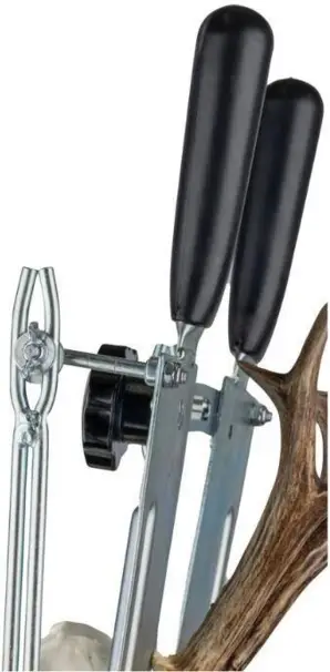 Trofésåg