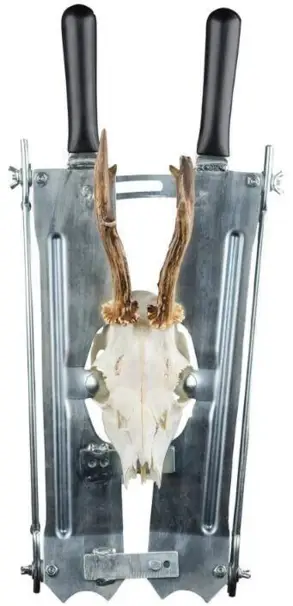 Trofésåg