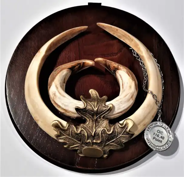 Mörkbetsade runda troféplattor (21cm)