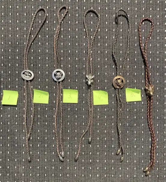 Bolo tie med vildsvinsmotiv