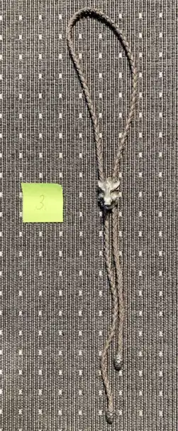 Bolo tie med vildsvinsmotiv