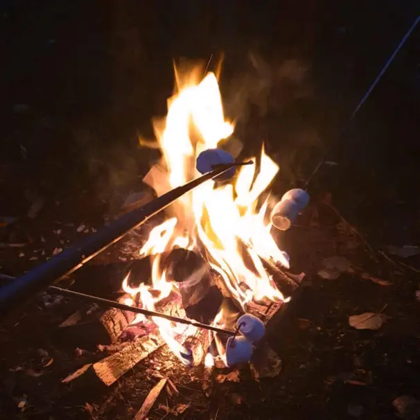 Stabilotherm teleskopiskt grillspett