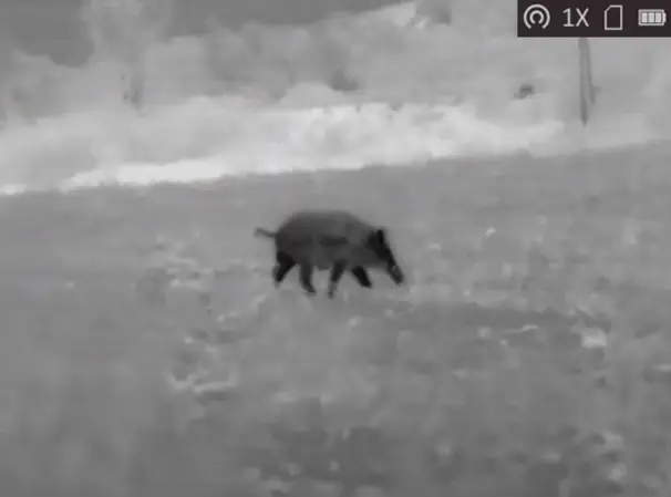 AGM Rattler TC35-384 termisk clip-on