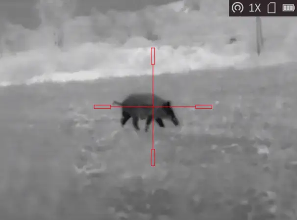 AGM Rattler TS 384 termiskt sikte