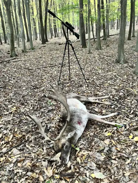 Lättvikts Carbon-tripod – skjutstöd