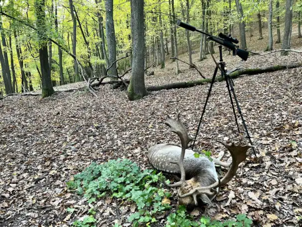 Lättvikts Carbon-tripod – skjutstöd