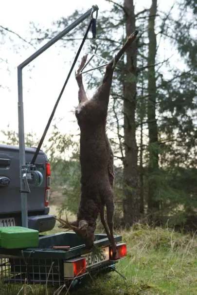 Gehetec galge till viltkorg