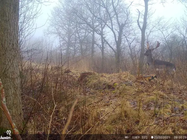 Hunter Alpha 4G Cloud viltkamera