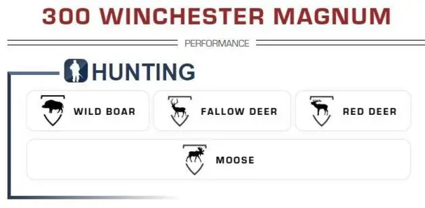 Fiocchi Springfield 300MAG - EPN 180gr 10 st