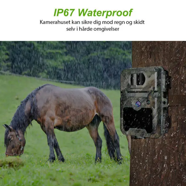 KeepGuard KW571 viltkamera