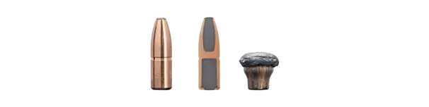 SAKO Twinhead II