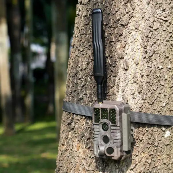 Black S960 viltkamera - bilder och videor till din telefon