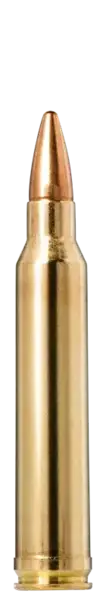 Norma FMJ Jaktmatch Träning 300w