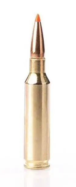 Fiocchi Performance 6,5 creedmore - 129gr.