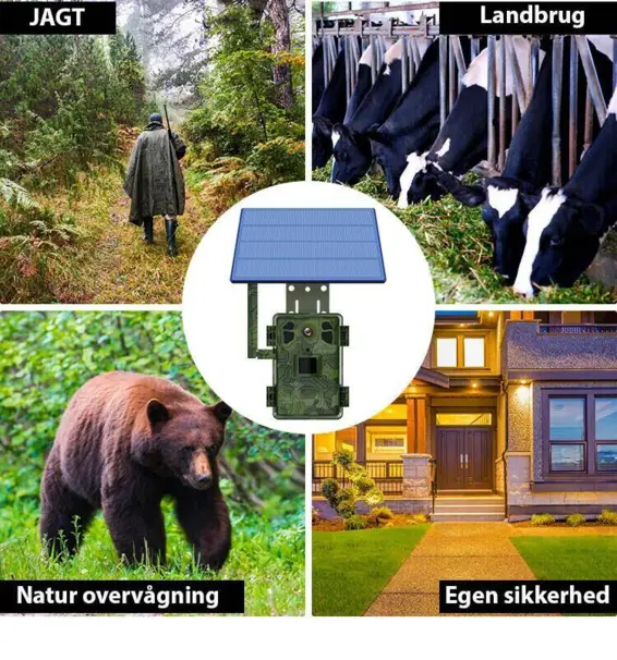 Live viltkamera inkl. solcell + App