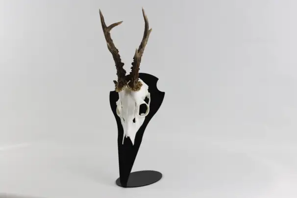 troféplatta - bordmodell - råvilt storlek