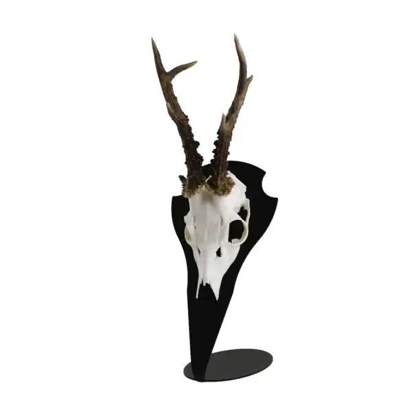 troféplatta - bordmodell - råvilt storlek