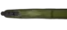Gevärsrem från Niggeloh grön