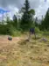 100 kg fodersystem
