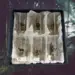 snapsglas med viltmotiv - 6 glas