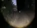 Laserficklampa 2000LM - vitt ljus