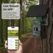 Live-kamera 2.0 inkl. solcell och batteripaket - 2026-modellen
