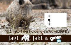 Viltkamerabonnemang - 1 år förbetalt